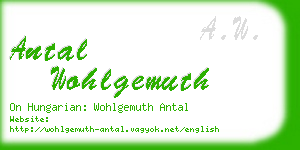 antal wohlgemuth business card